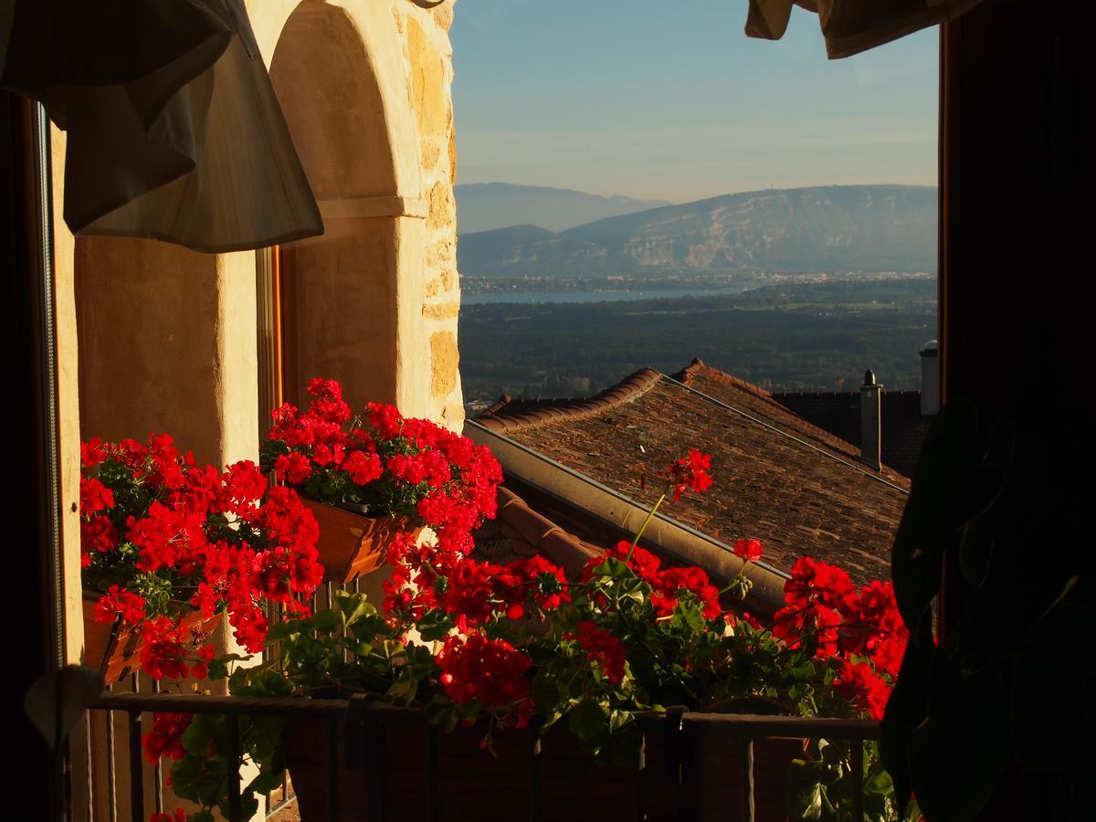 Les Lumieres De Geneve Bed & Breakfast Grilly Dış mekan fotoğraf