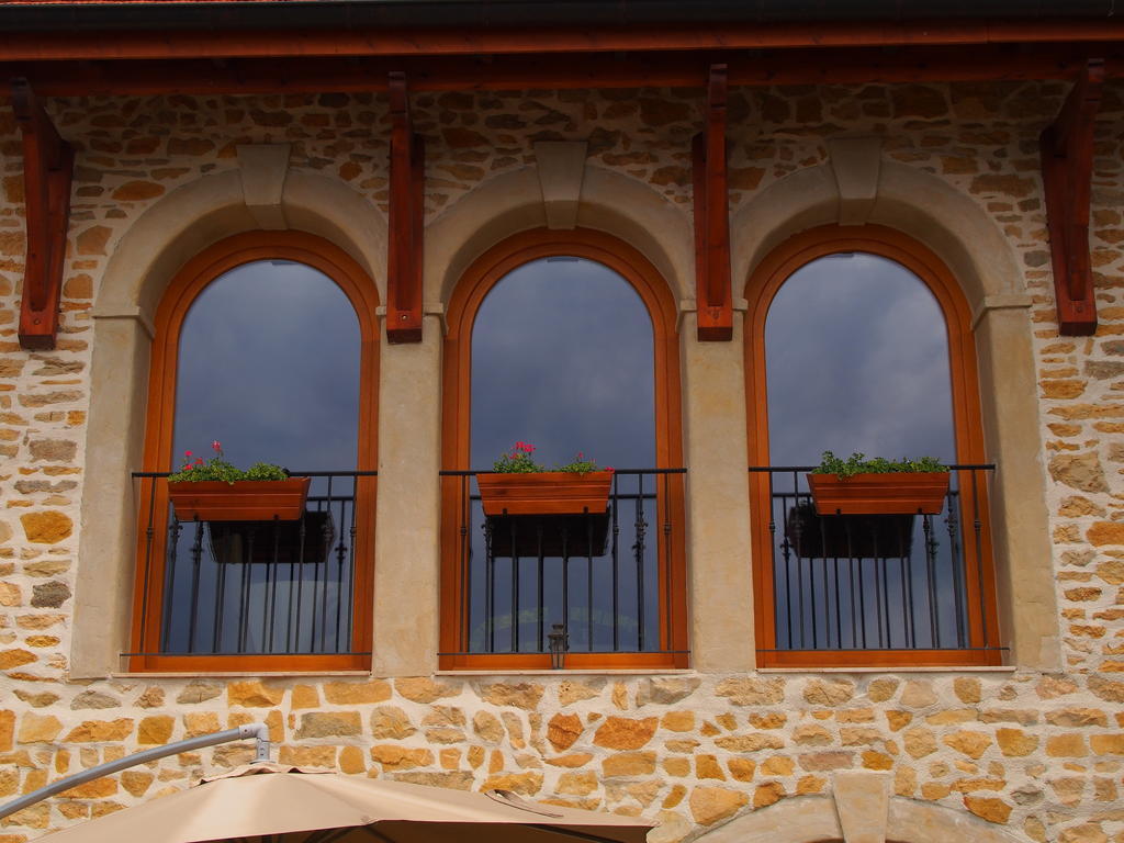 Les Lumieres De Geneve Bed & Breakfast Grilly Dış mekan fotoğraf