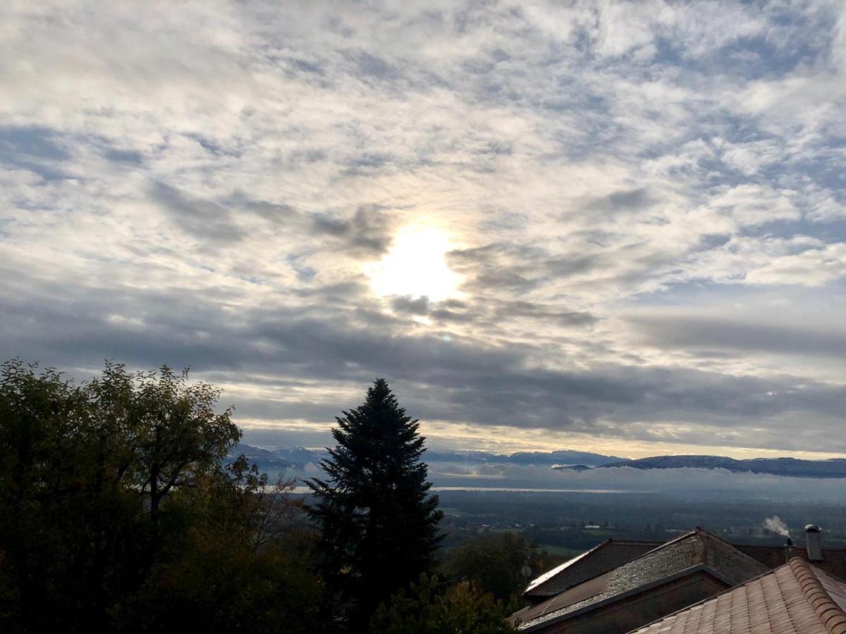 Les Lumieres De Geneve Bed & Breakfast Grilly Dış mekan fotoğraf